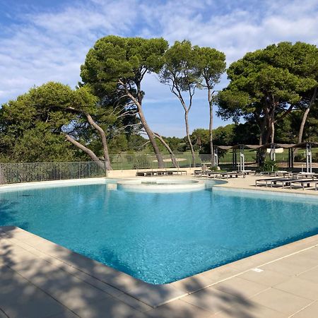 La Perle Du Golf -Magnifique Vue Clim Linge Golf Saumane 6P Piscine Tennis Eksteriør bilde